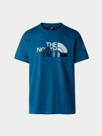 Футболка The North Face Mountain Line модель NF0A87NTRBI1 Фото