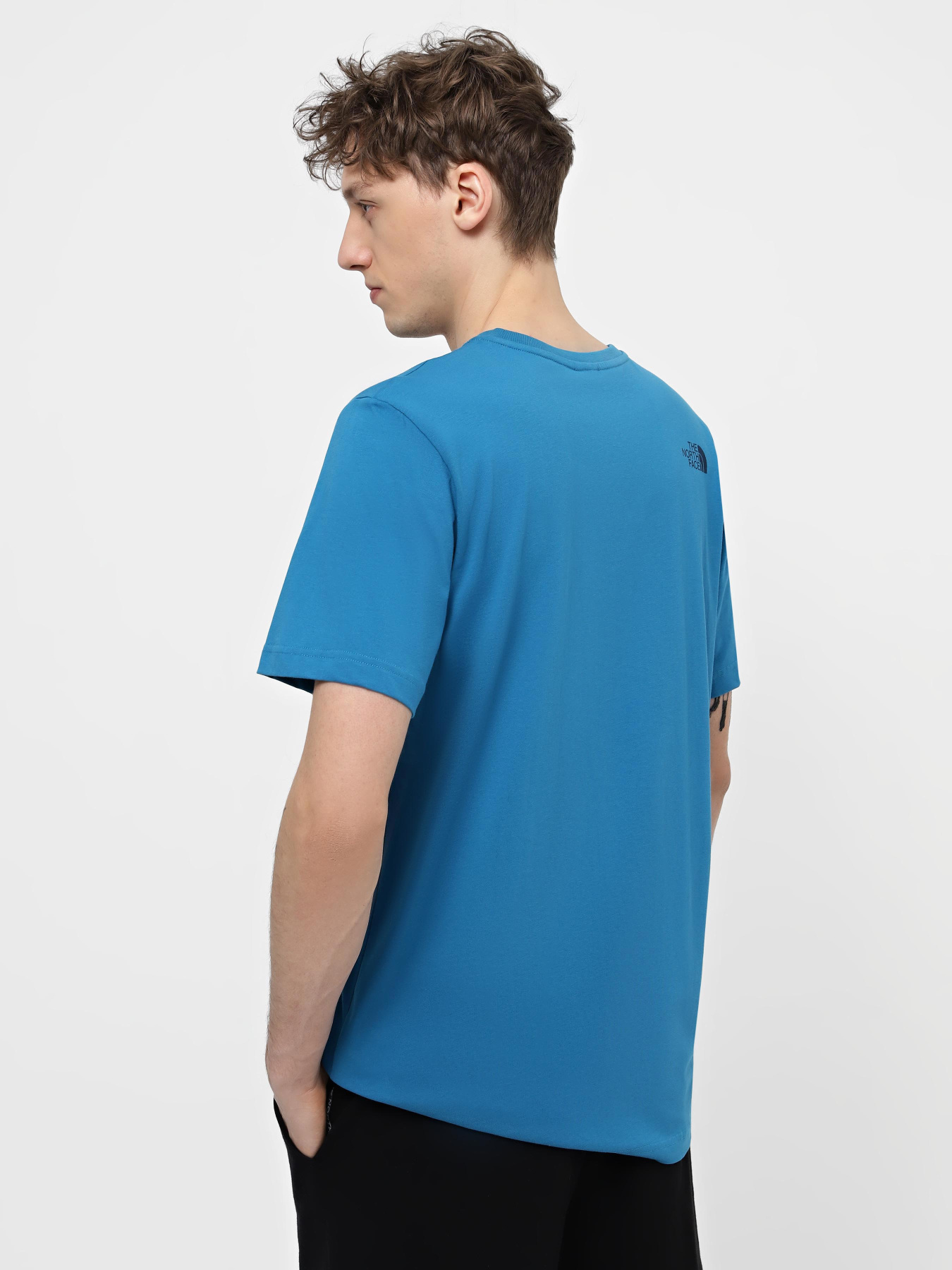 Футболка The North Face Mountain Line модель NF0A87NTRBI1 Фото