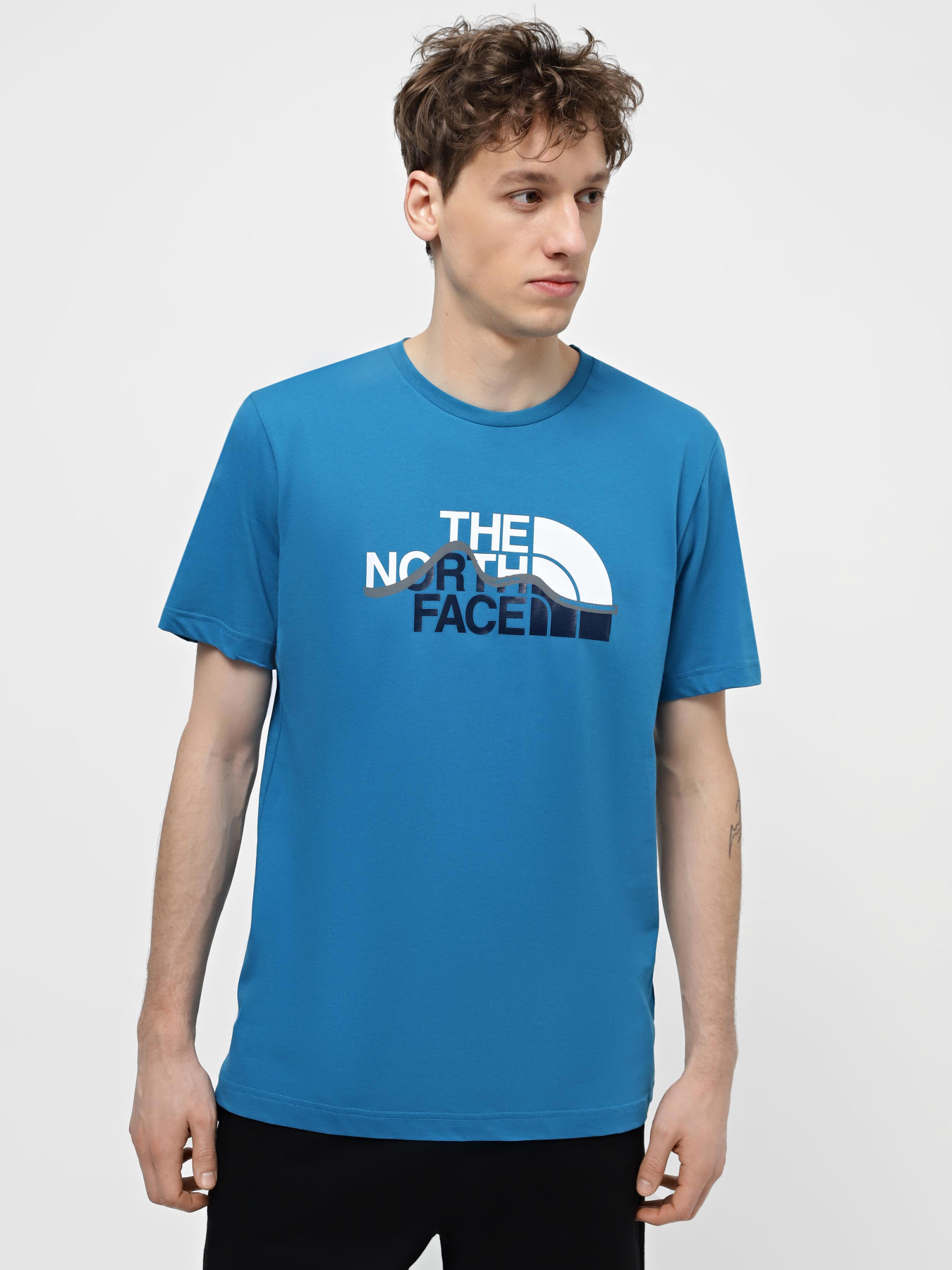Футболка The North Face Mountain Line модель NF0A87NTRBI1 Фото