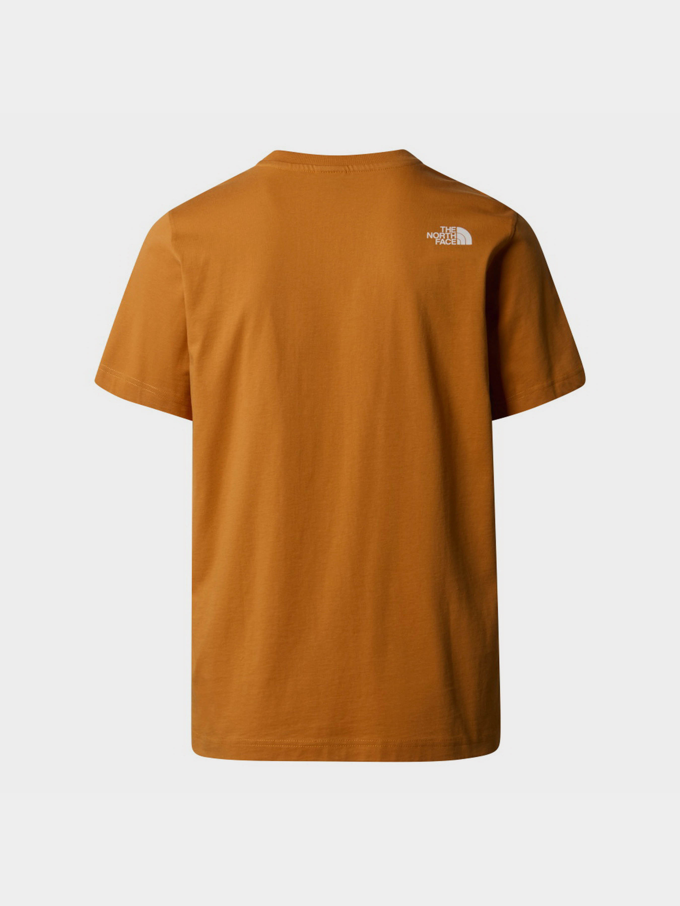 Футболка The North Face Mountain Line модель NF0A87NTPCO1 Фото