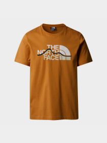 Футболка The North Face Mountain Line модель NF0A87NTPCO1 Фото