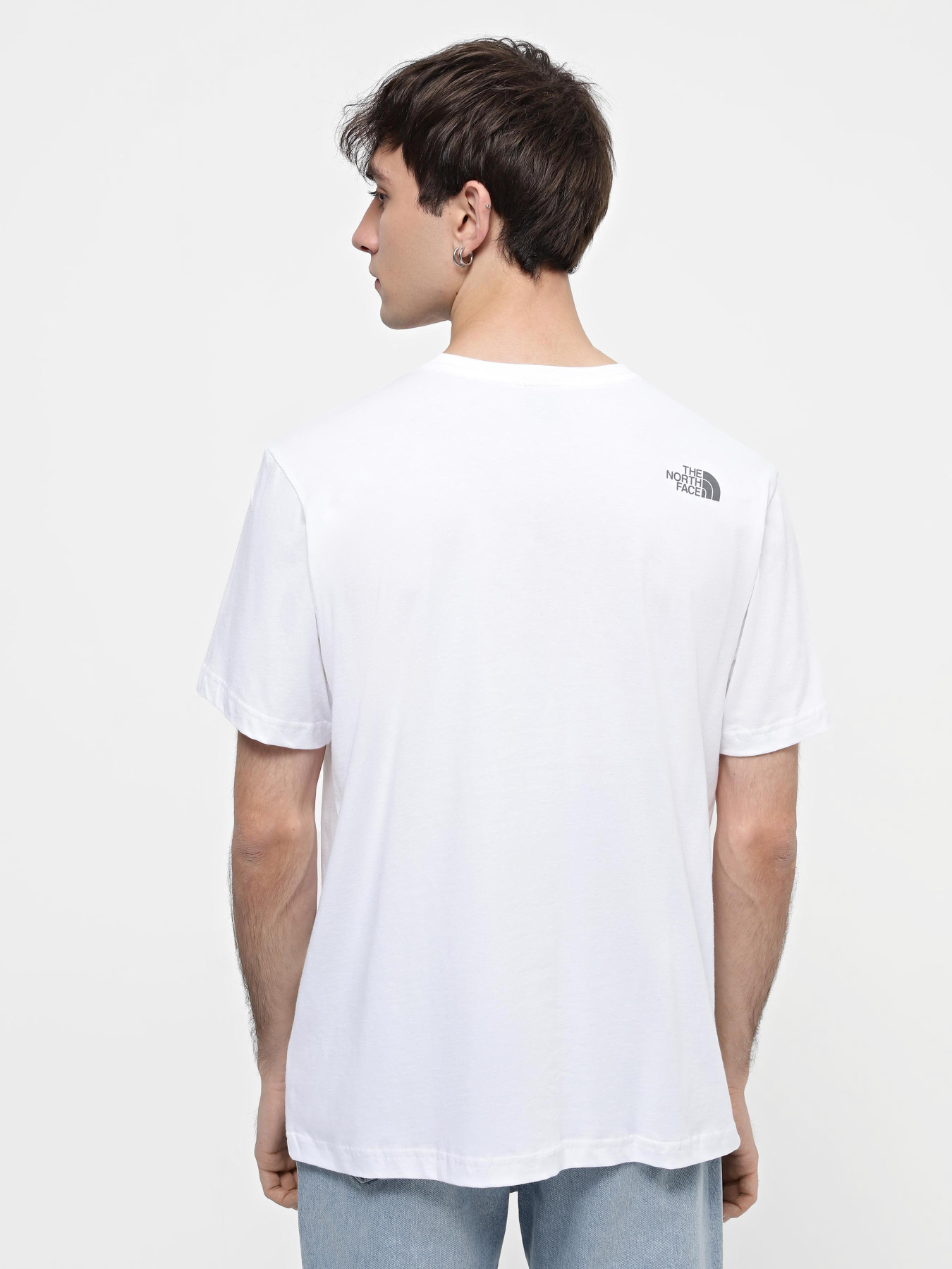 Футболка The North Face Mountain Line модель NF0A87NTFN41 Фото