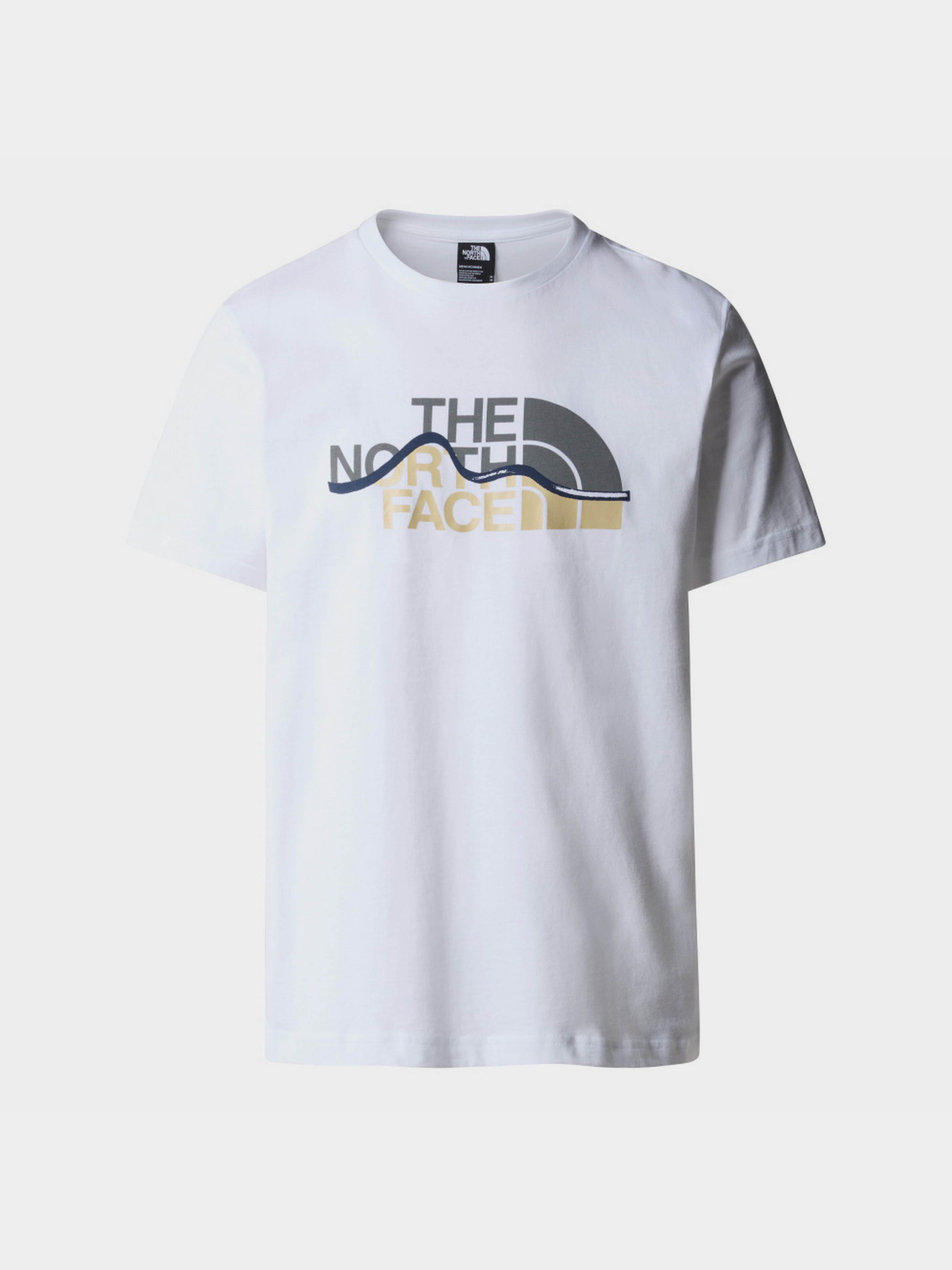 Футболка The North Face Mountain Line модель NF0A87NTFN41 Фото