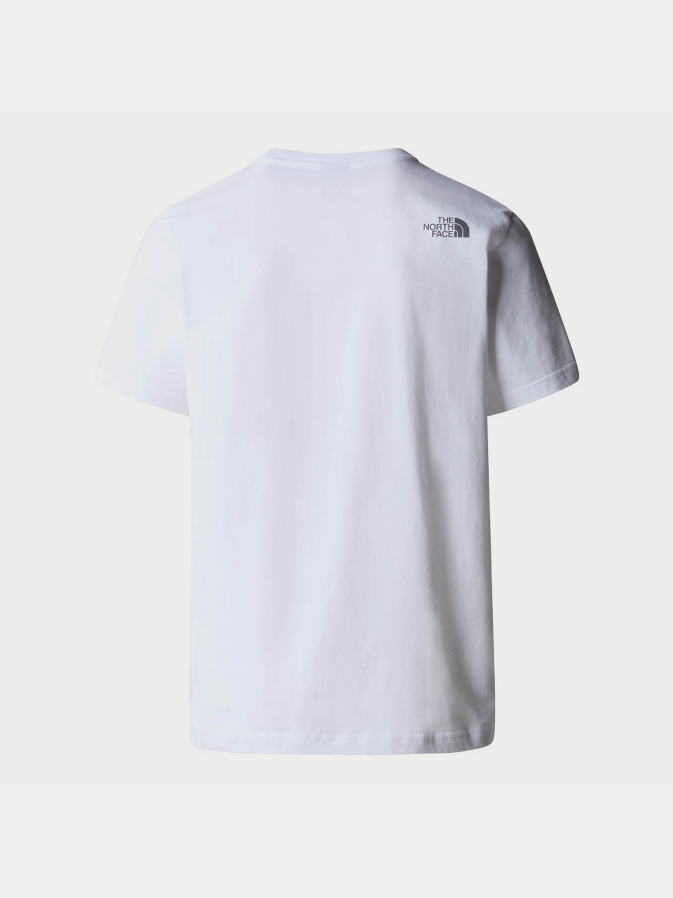 Футболка The North Face Mountain Line модель NF0A87NTFN41 Фото