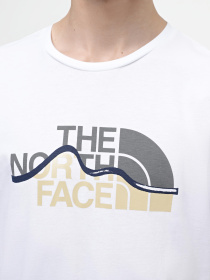Футболка The North Face Mountain Line модель NF0A87NTFN41 Фото