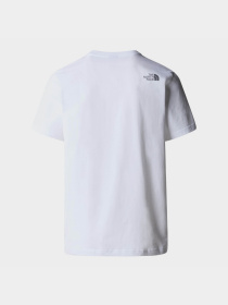 Футболка The North Face Mountain Line модель NF0A87NTFN41 Фото