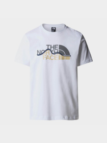 Футболка The North Face Mountain Line модель NF0A87NTFN41 Фото
