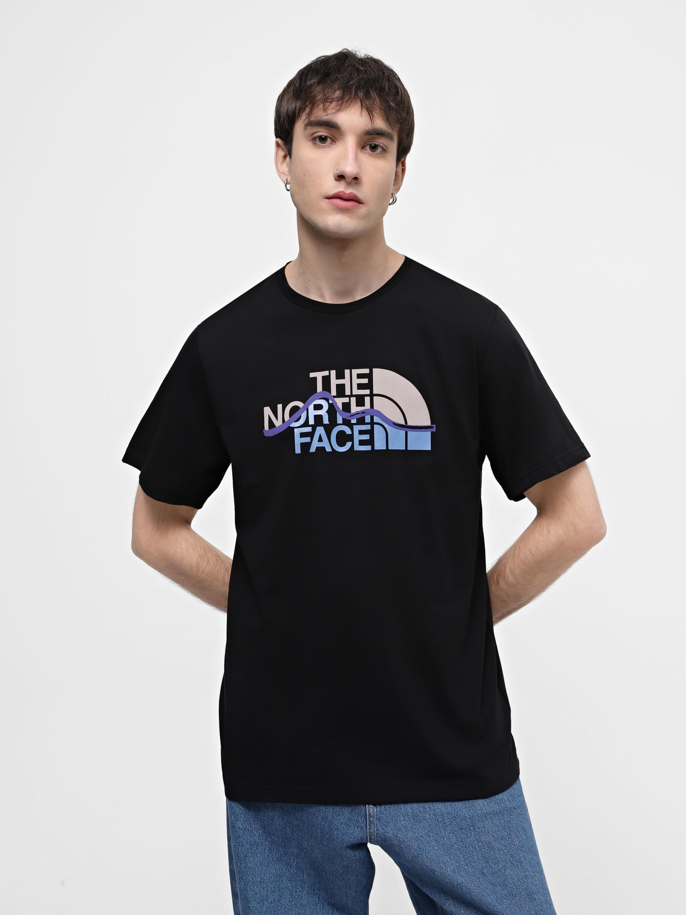 Футболка The North Face Mountain Line модель NF0A87NTJK31 Фото