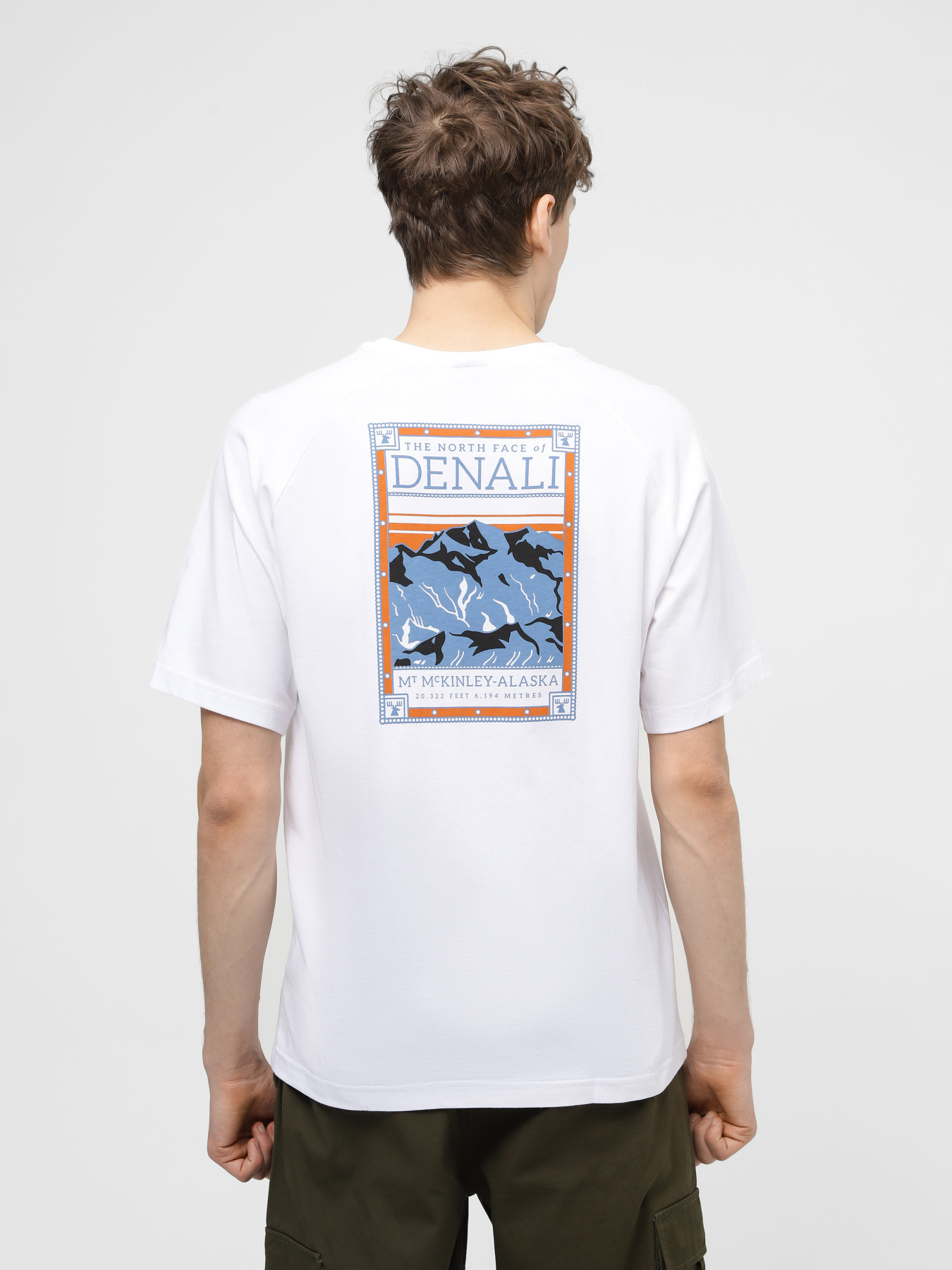 Футболка The North Face North Faces модель NF0A87NUFN41 Фото