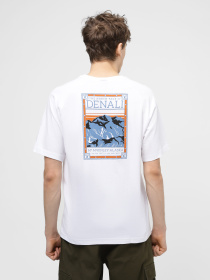 Футболка The North Face North Faces модель NF0A87NUFN41 Фото