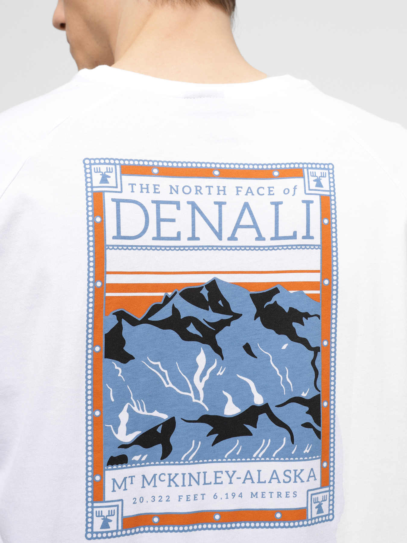 Футболка The North Face North Faces модель NF0A87NUFN41 Фото