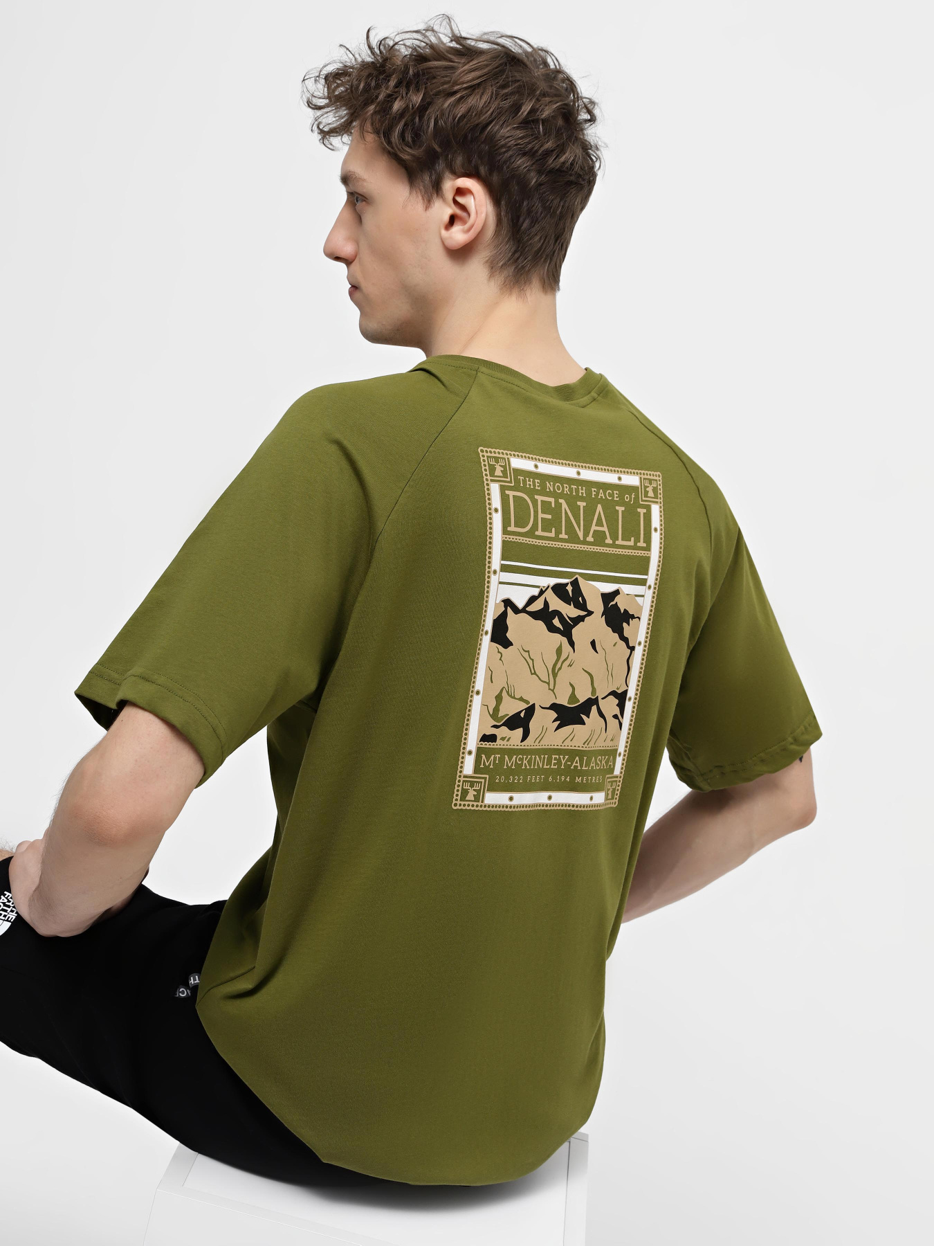 Футболка The North Face M S/S North Faces Tee модель NF0A87NUPIB1 Фото