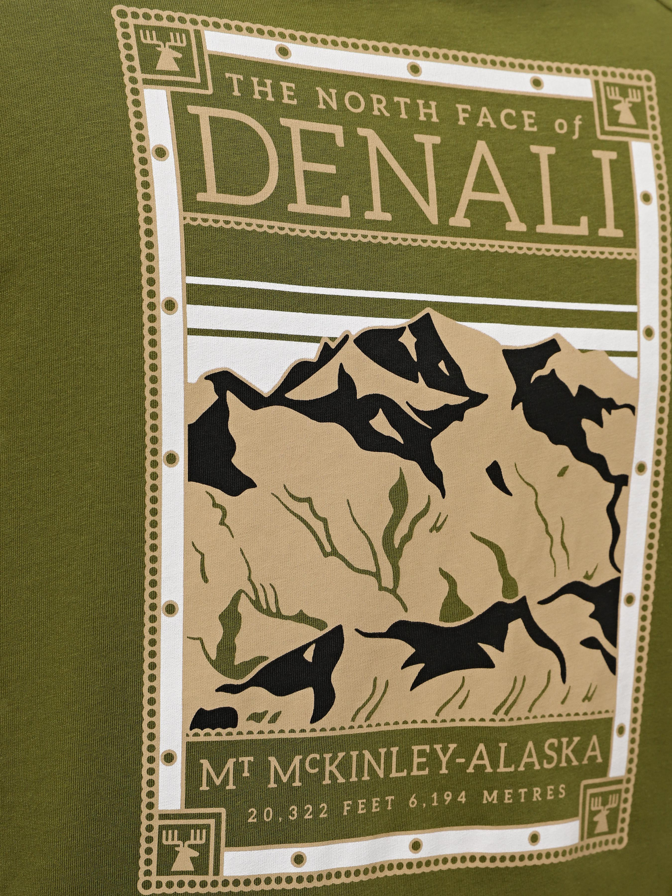 Футболка The North Face M S/S North Faces Tee модель NF0A87NUPIB1 Фото