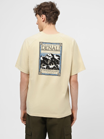 Футболка The North Face North Faces модель NF0A87NU3X41 Фото