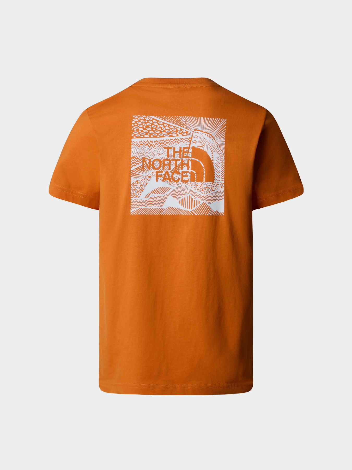 Футболка The North Face Redbox Celebration Tee модель NF0A87NVPCO1 Футболка The North Face Redbox Celebration Tee модель NF0A87NVPCO1 Фото