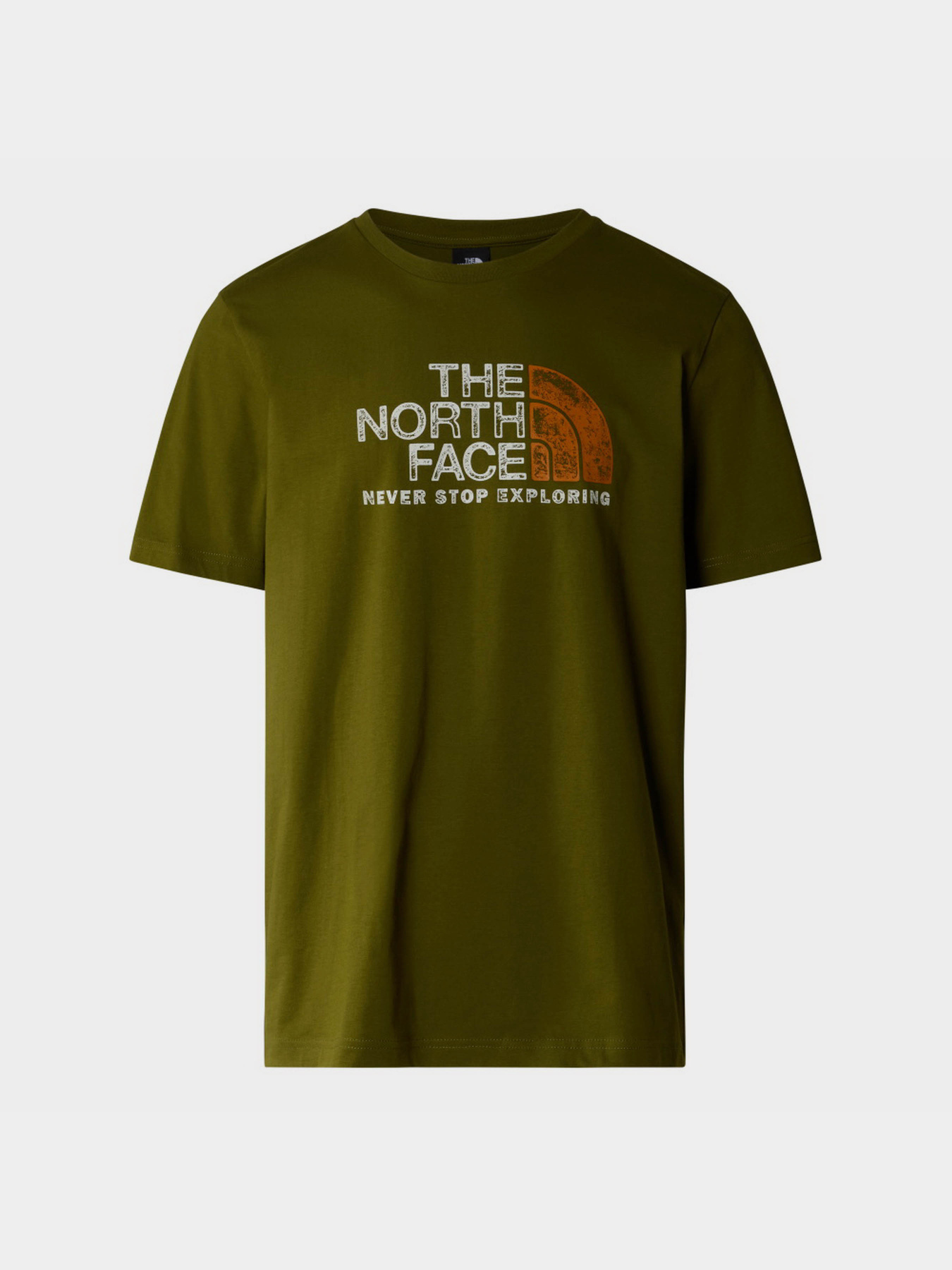 Футболка The North Face S/S Rust 2 Tee модель NF0A87NWPIB1 Фото