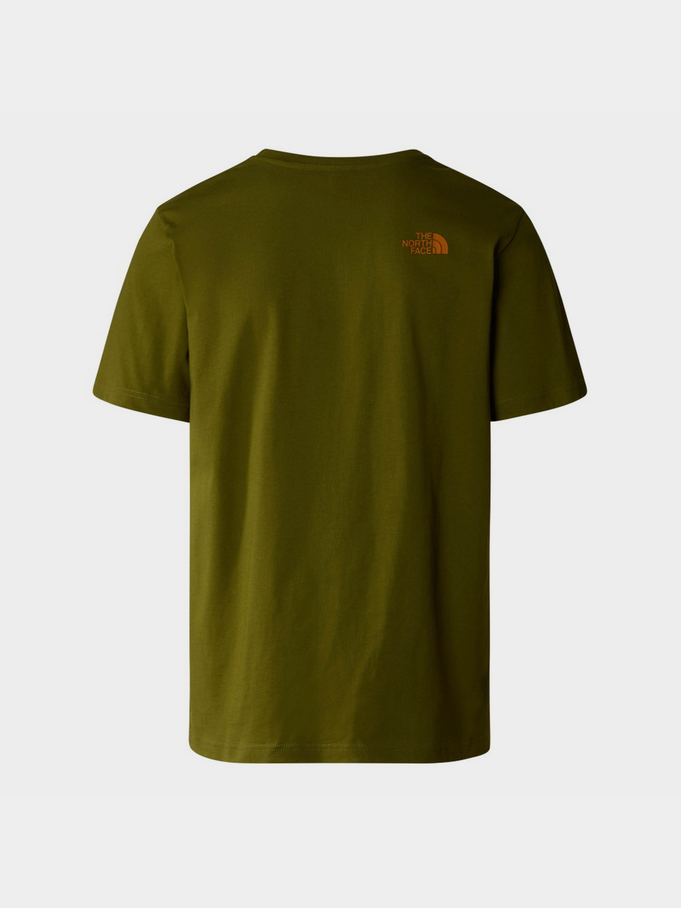 Футболка The North Face S/S Rust 2 Tee модель NF0A87NWPIB1 Фото