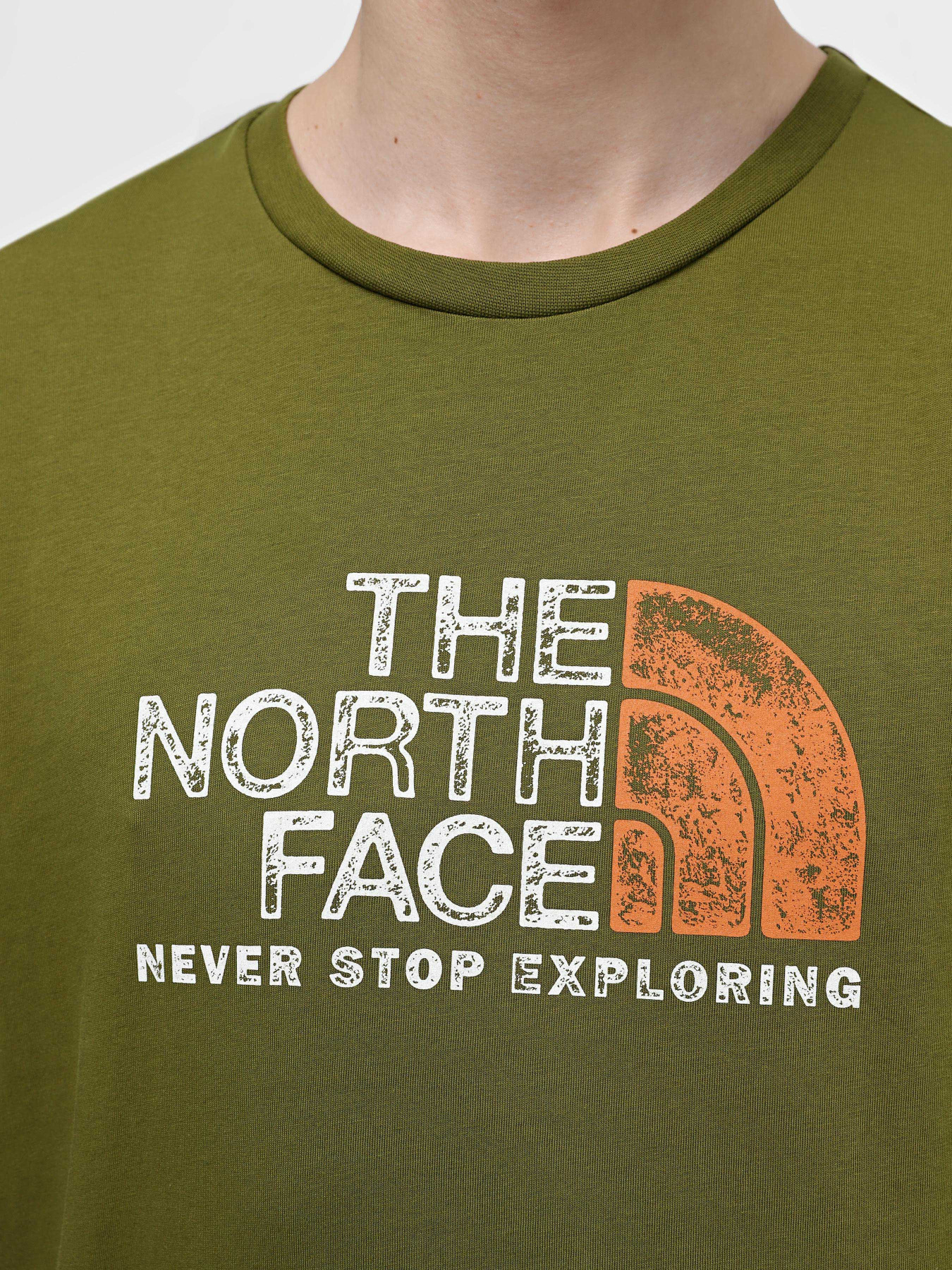 Футболка The North Face S/S Rust 2 Tee модель NF0A87NWPIB1 Фото