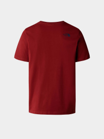 Футболка The North Face M S/S Rust 2 Tee модель NF0A87NWPOJ1 Фото