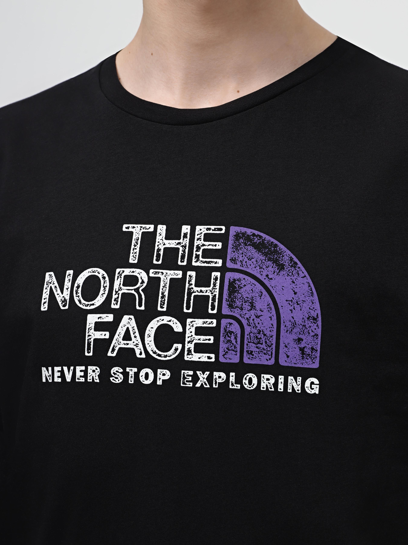 Футболка The North Face S/S Rust 2 Tee модель NF0A87NWJK31 Фото