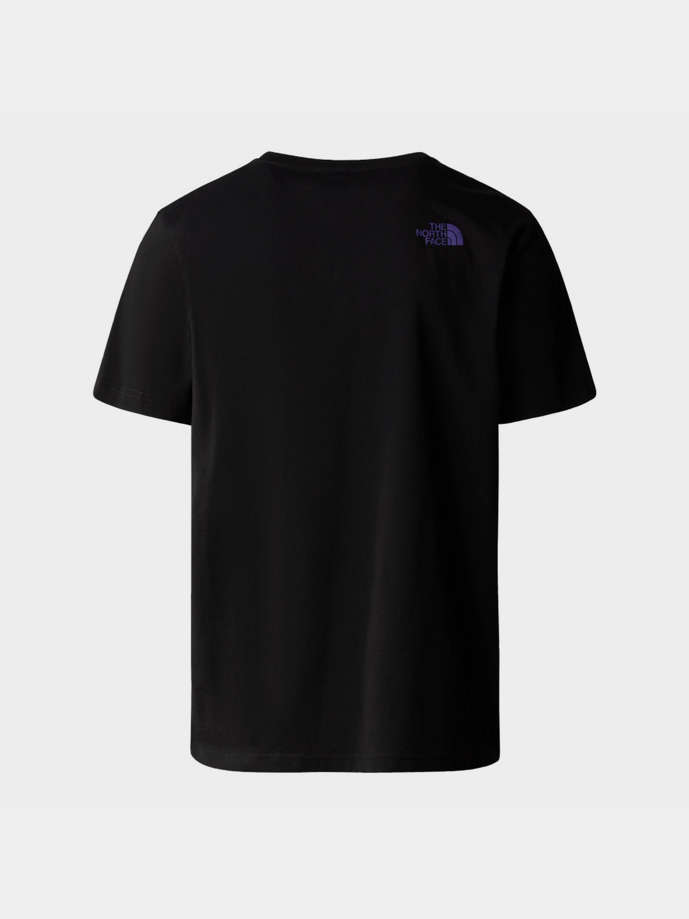 Футболка The North Face S/S Rust 2 Tee модель NF0A87NWJK31 Фото