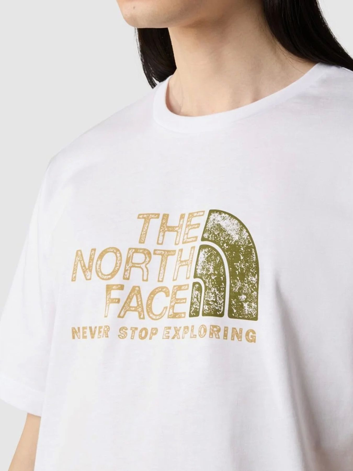 Футболка The North Face S/S Rust 2 Tee модель NF0A87NWFN41 Фото