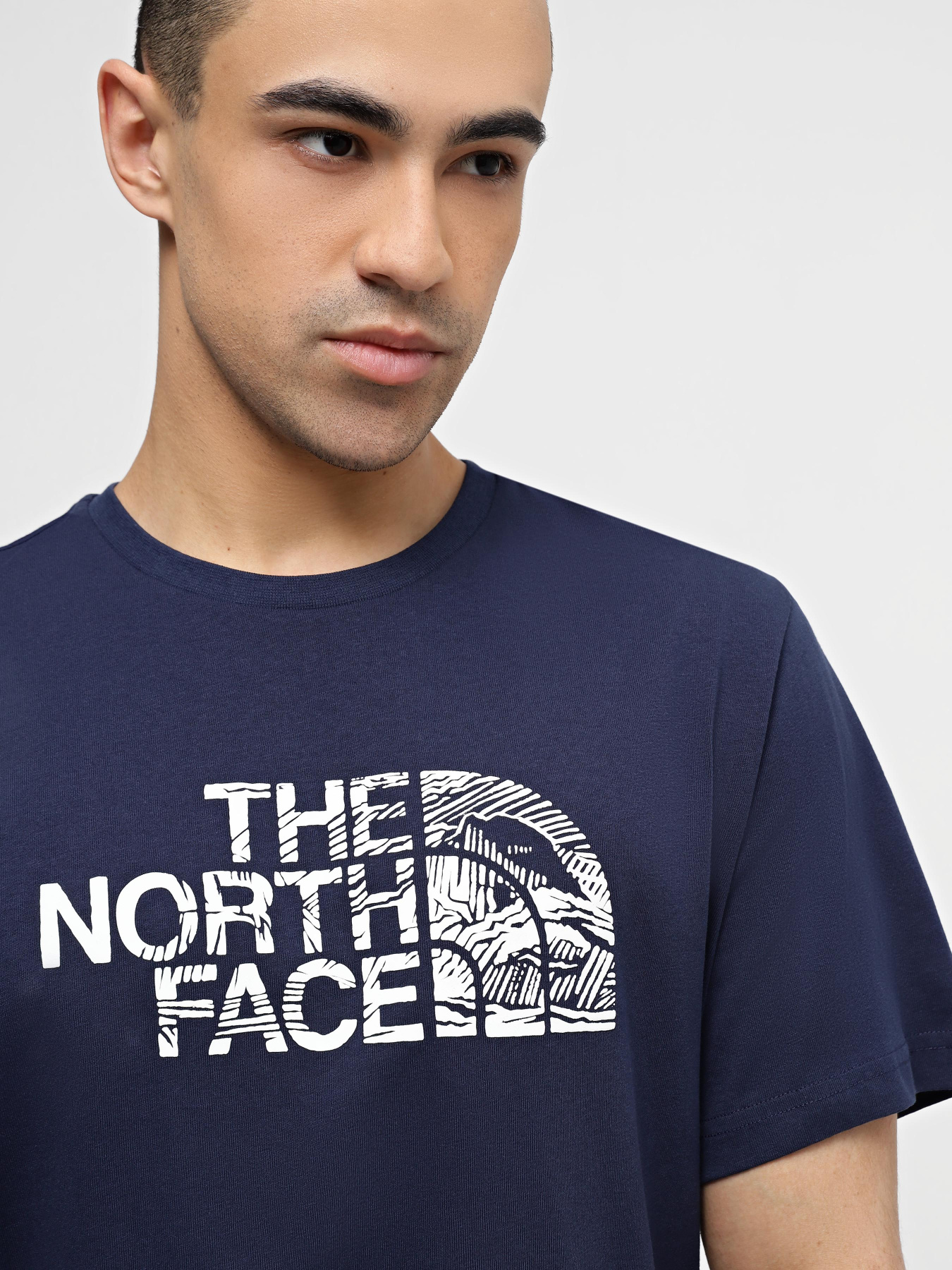 Футболка The North Face Woodcut Dome Tee модель NF0A87NX8K21 Фото