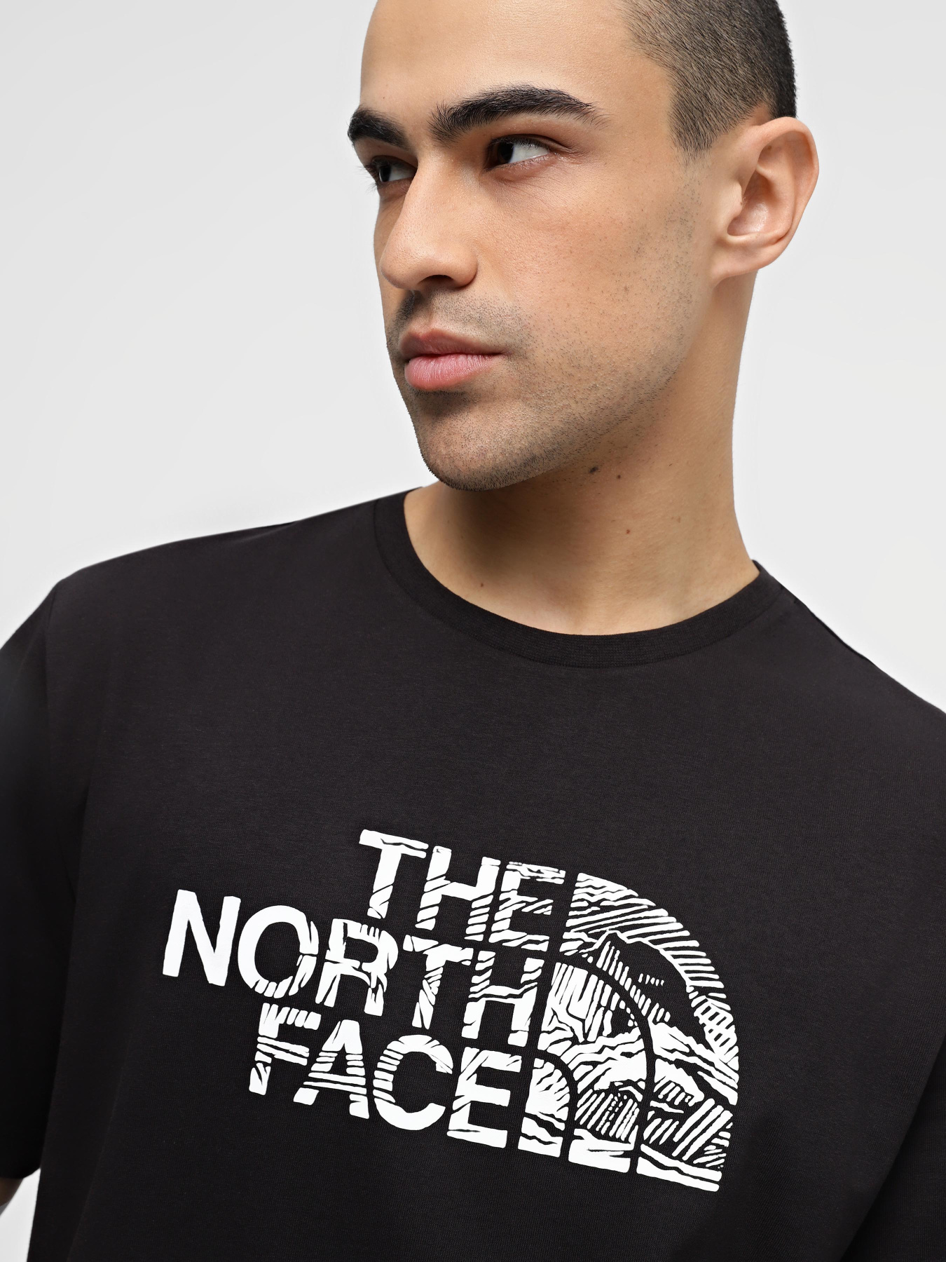 Футболка The North Face Woodcut Dome Tee модель NF0A87NXJK31 Фото