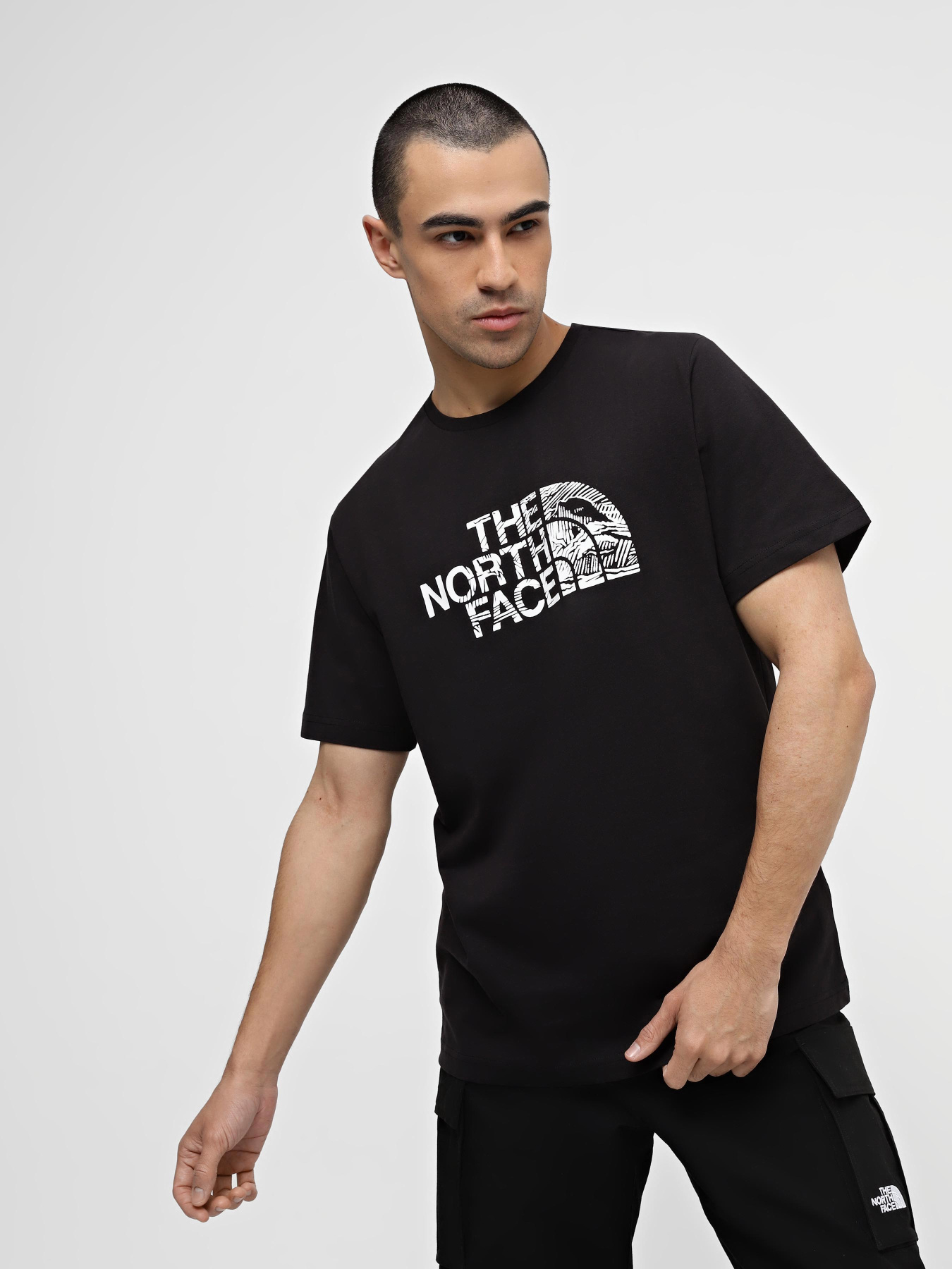 Футболка The North Face Woodcut Dome Tee модель NF0A87NXJK31 Фото