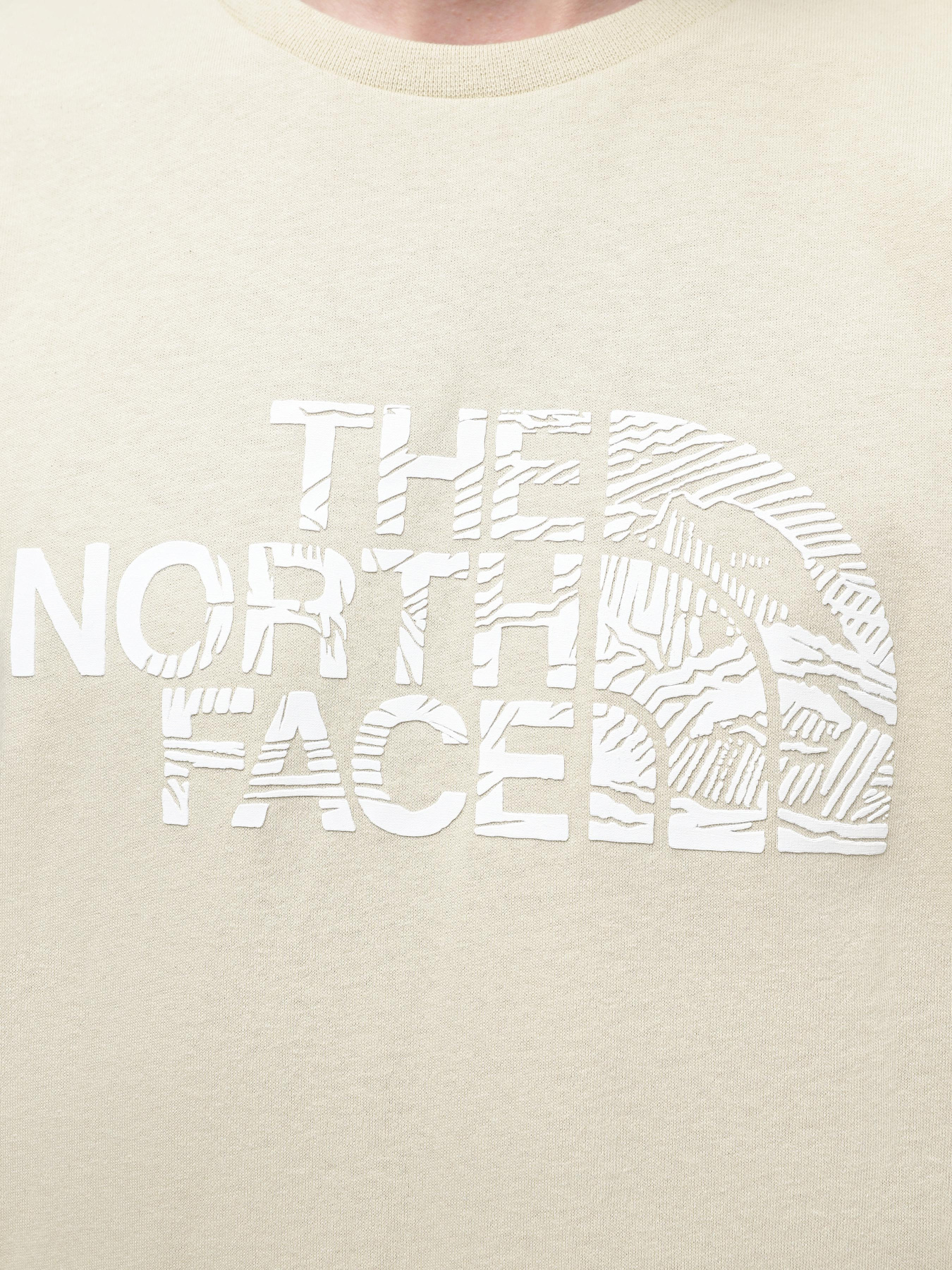 Футболка The North Face Woodcut Dome модель NF0A87NX3X41 Фото