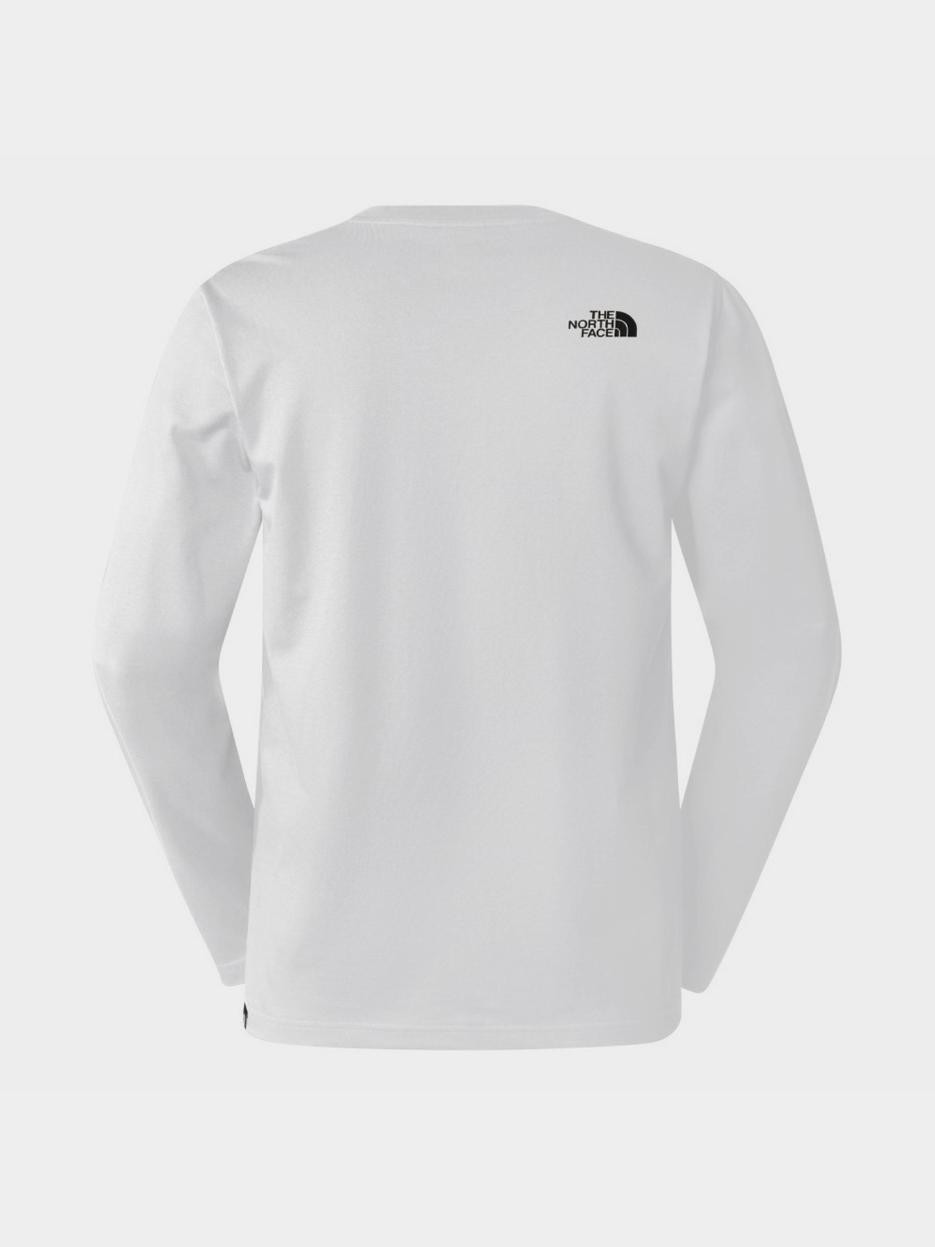 Лонгслив The North Face Simple Dome модель NF0A87QNFN41 Фото