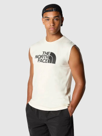 Майка The North Face Easy модель NF0A87R2QLI1 Фото