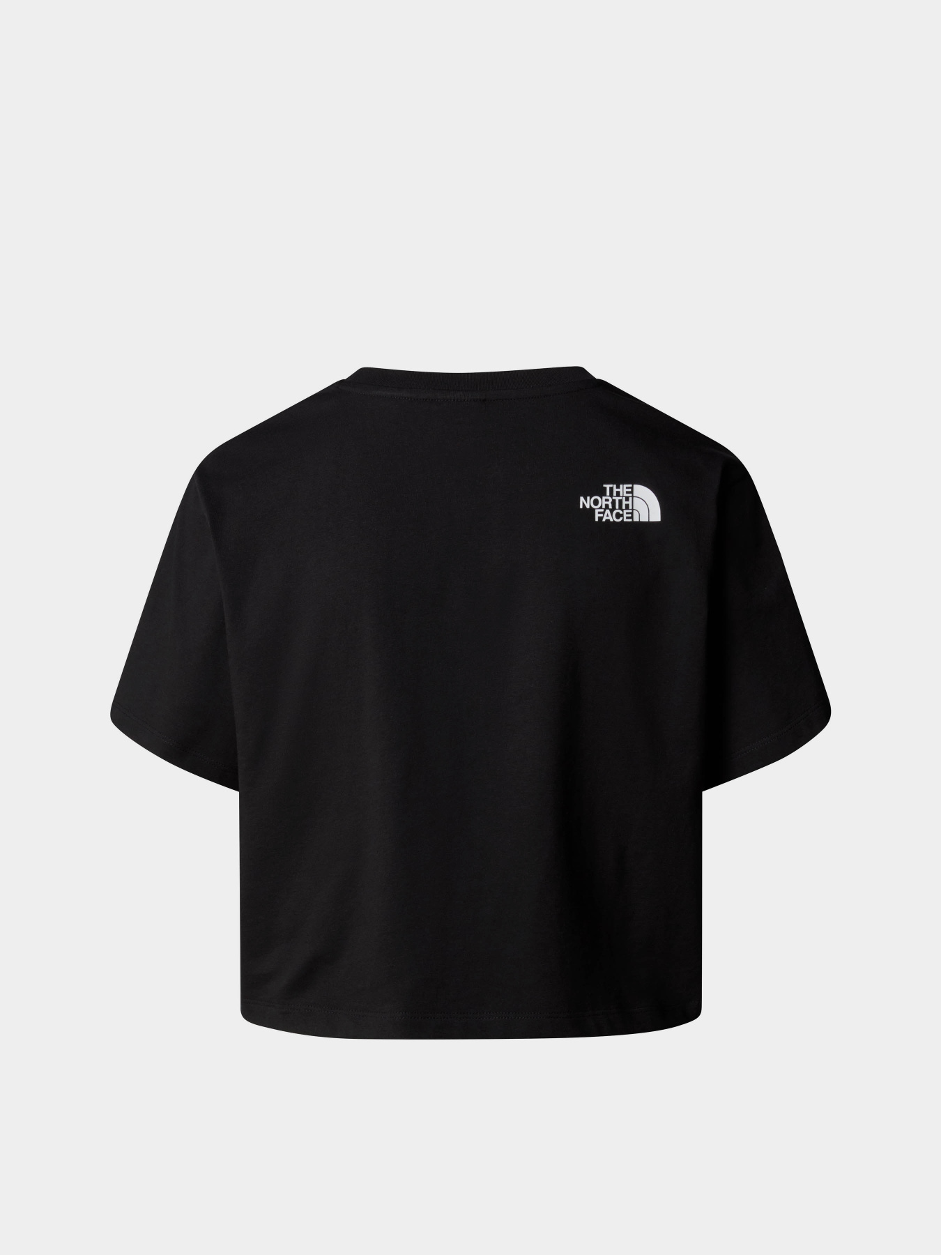 Футболка The North Face Simple Dome модель NF0A87U4JK31 Фото