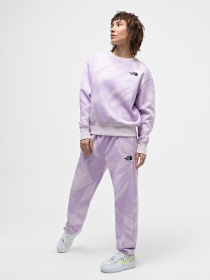 Штаны спортивные The North Face W Essential Jogger Print модель NF0A881EUI61 Фото