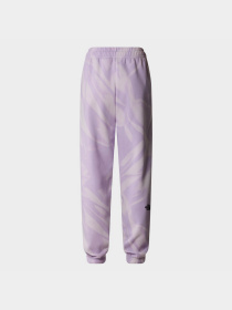 Штаны спортивные The North Face W Essential Jogger Print модель NF0A881EUI61 Фото
