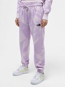 Штаны спортивные The North Face W Essential Jogger Print модель NF0A881EUI61 Фото
