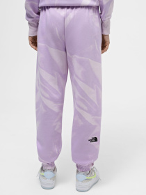 Штаны спортивные The North Face W Essential Jogger Print модель NF0A881EUI61 Фото