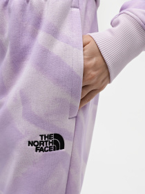 Штаны спортивные The North Face W Essential Jogger Print модель NF0A881EUI61 Фото