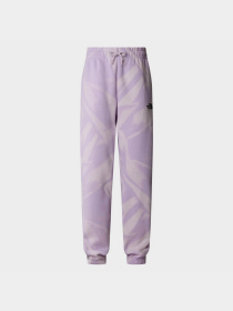 Штаны спортивные The North Face W Essential Jogger Print модель NF0A881EUI61 Фото