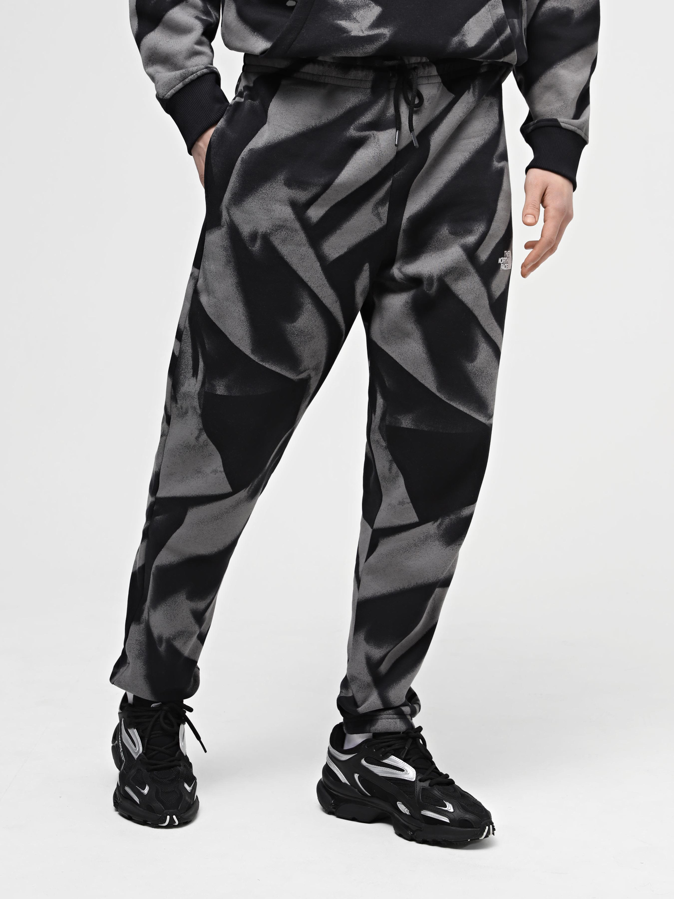 Штаны спортивные The North Face M Essential Jogger Print модель NF0A881JSIF1 Фото