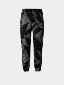 Штаны спортивные The North Face M Essential Jogger Print модель NF0A881JSIF1 Фото