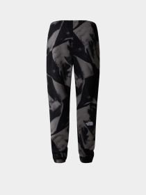 Штаны спортивные The North Face M Essential Jogger Print модель NF0A881JSIF1 Фото