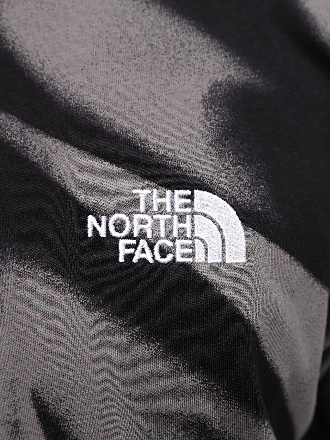 Футболка The North Face Oversize Simple Dome Print модель NF0A881KSIF1 Фото