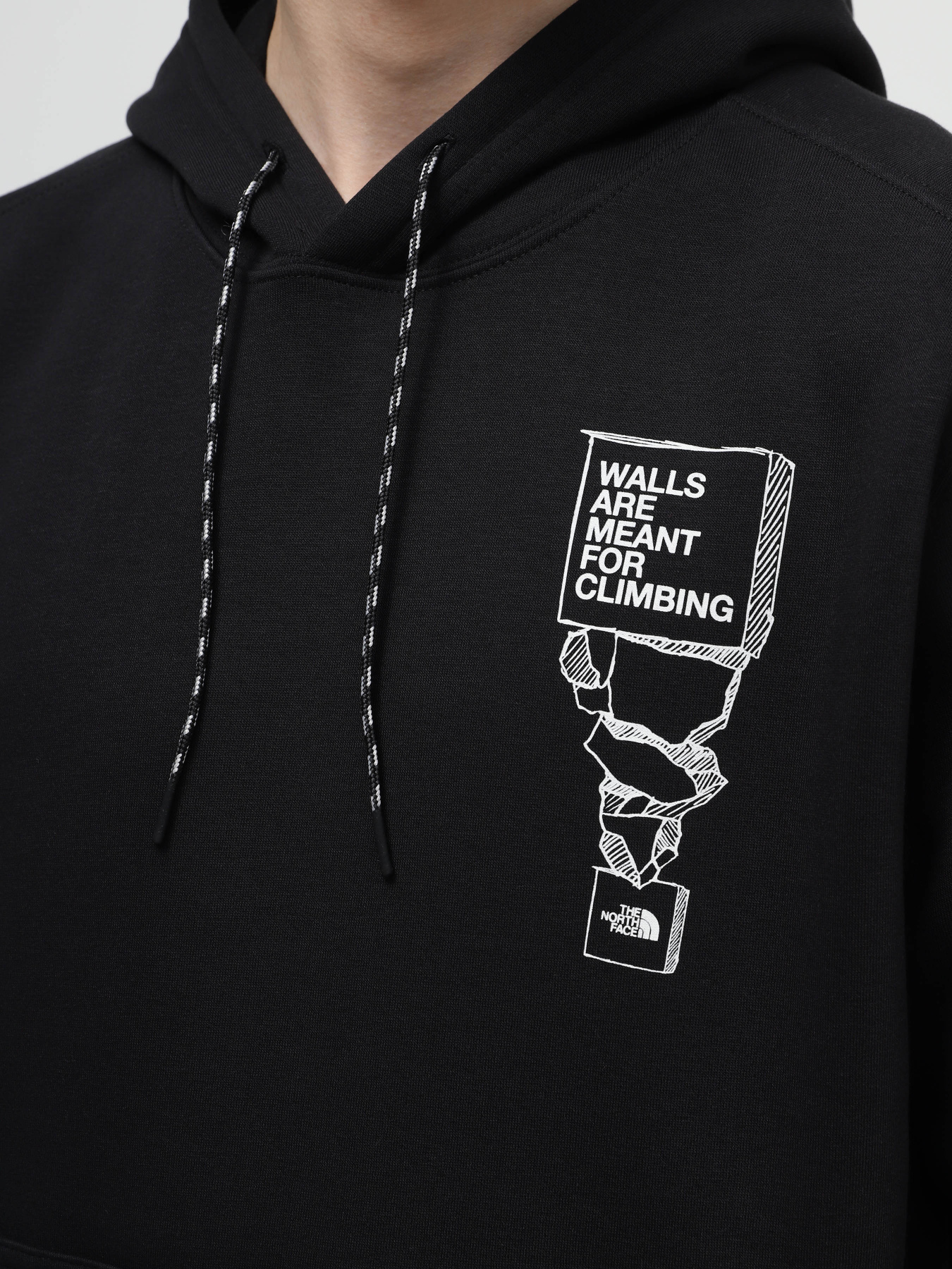 Худі The North Face M Outdoor Graphic Hoodie модель NF0A87FGJK31 Фото