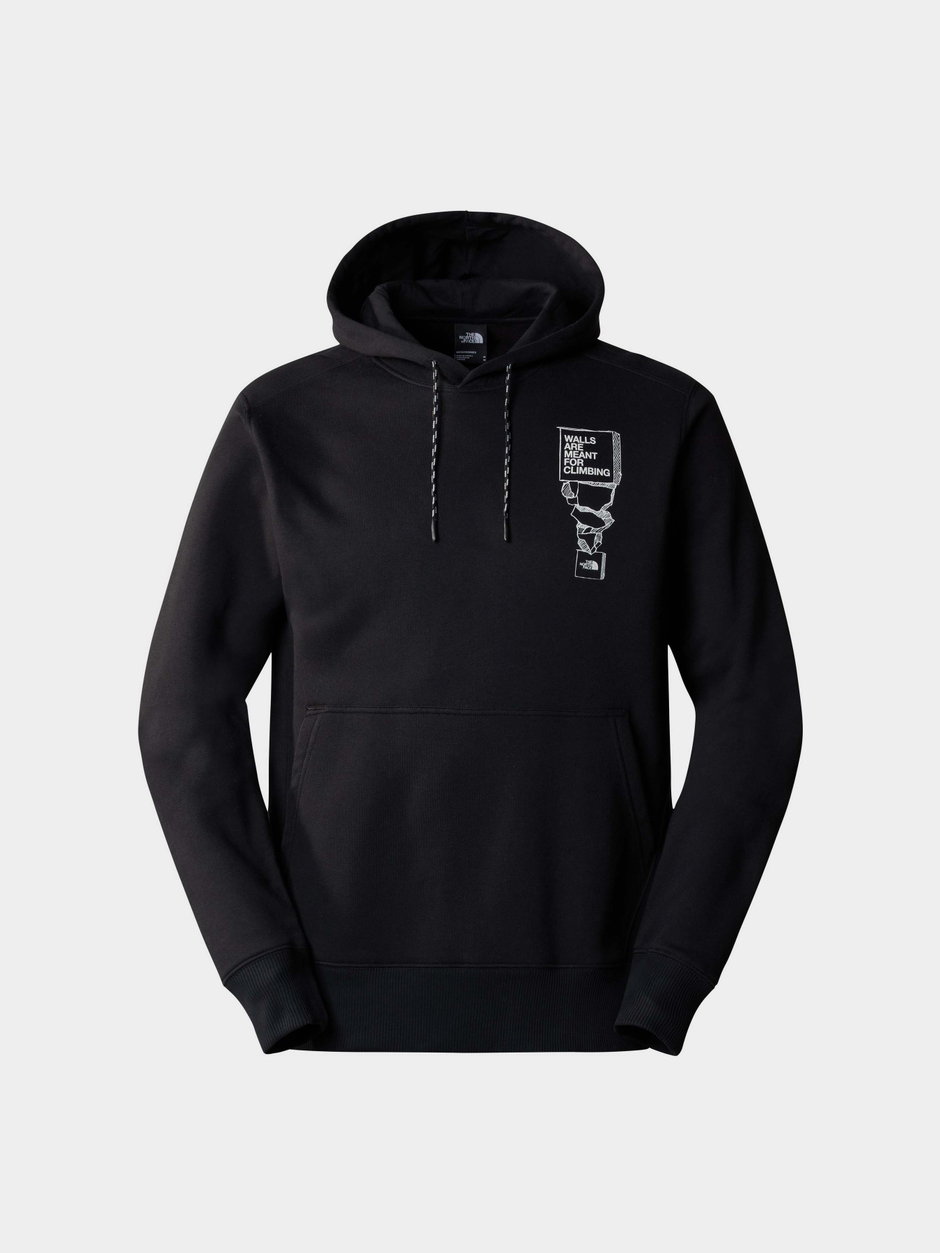 Худі The North Face M Outdoor Graphic Hoodie модель NF0A87FGJK31 Фото