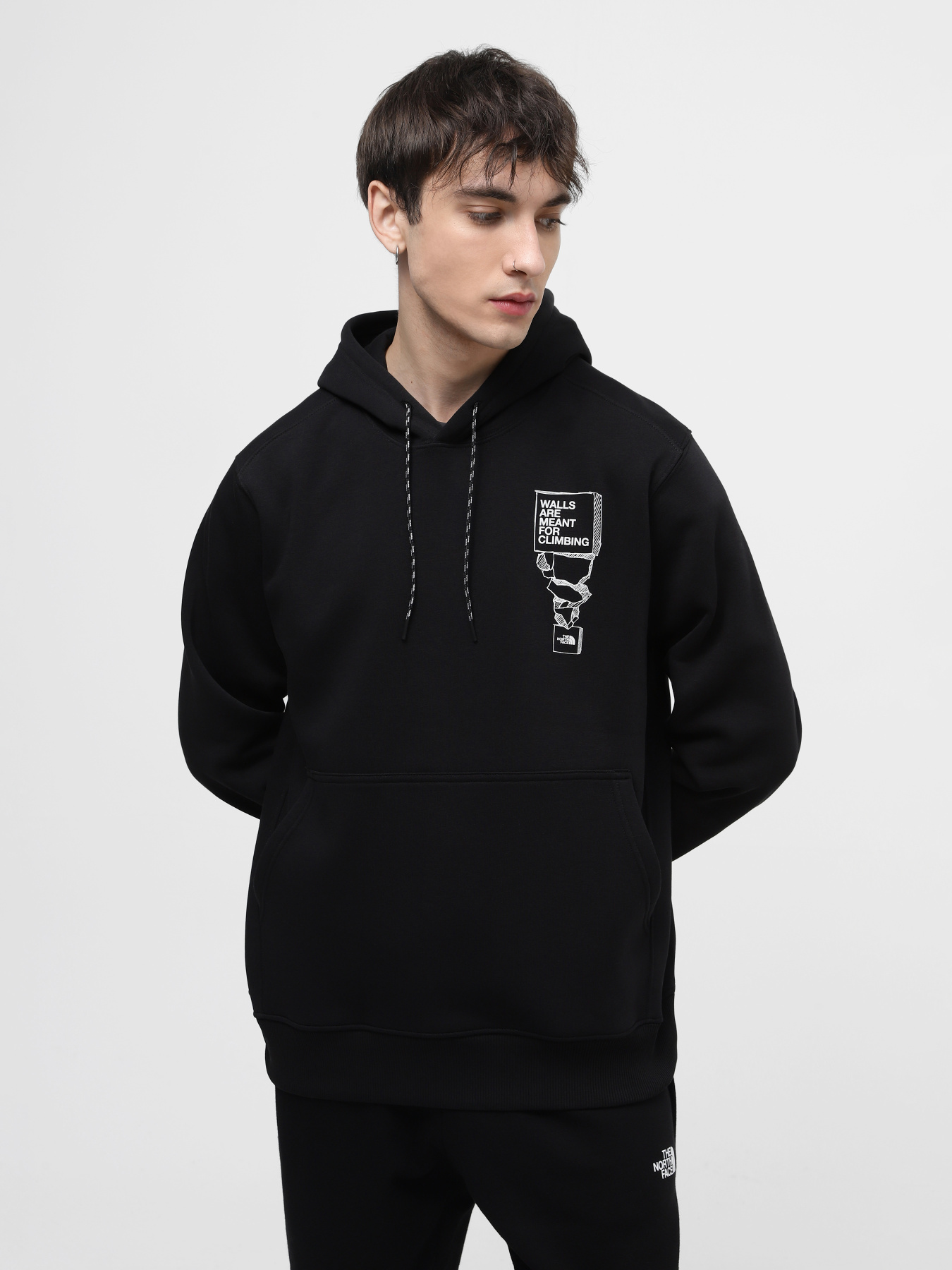 Худі The North Face M Outdoor Graphic Hoodie модель NF0A87FGJK31 Фото