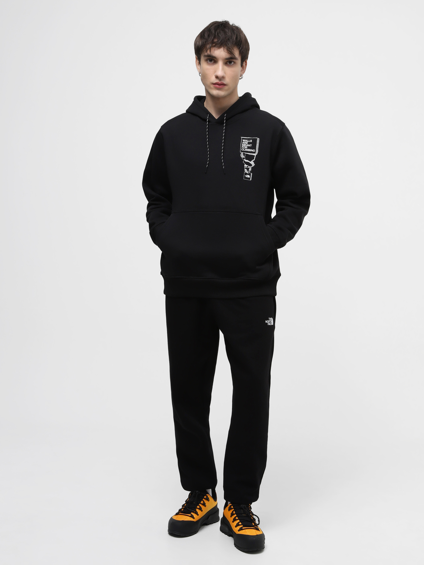 Худі The North Face M Outdoor Graphic Hoodie модель NF0A87FGJK31 Фото