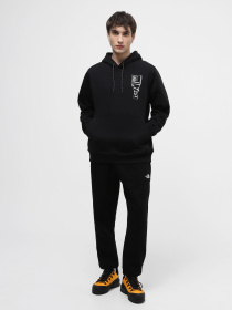 Худі The North Face M Outdoor Graphic Hoodie модель NF0A87FGJK31 Фото