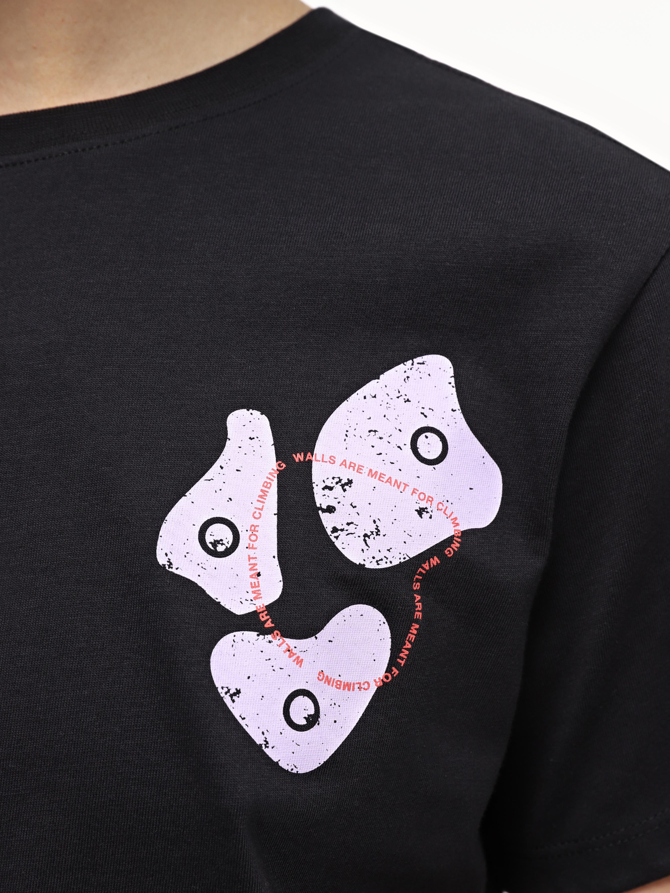 Футболка The North Face W Outdoor S/S Tee модель NF0A87FJJK31 Фото