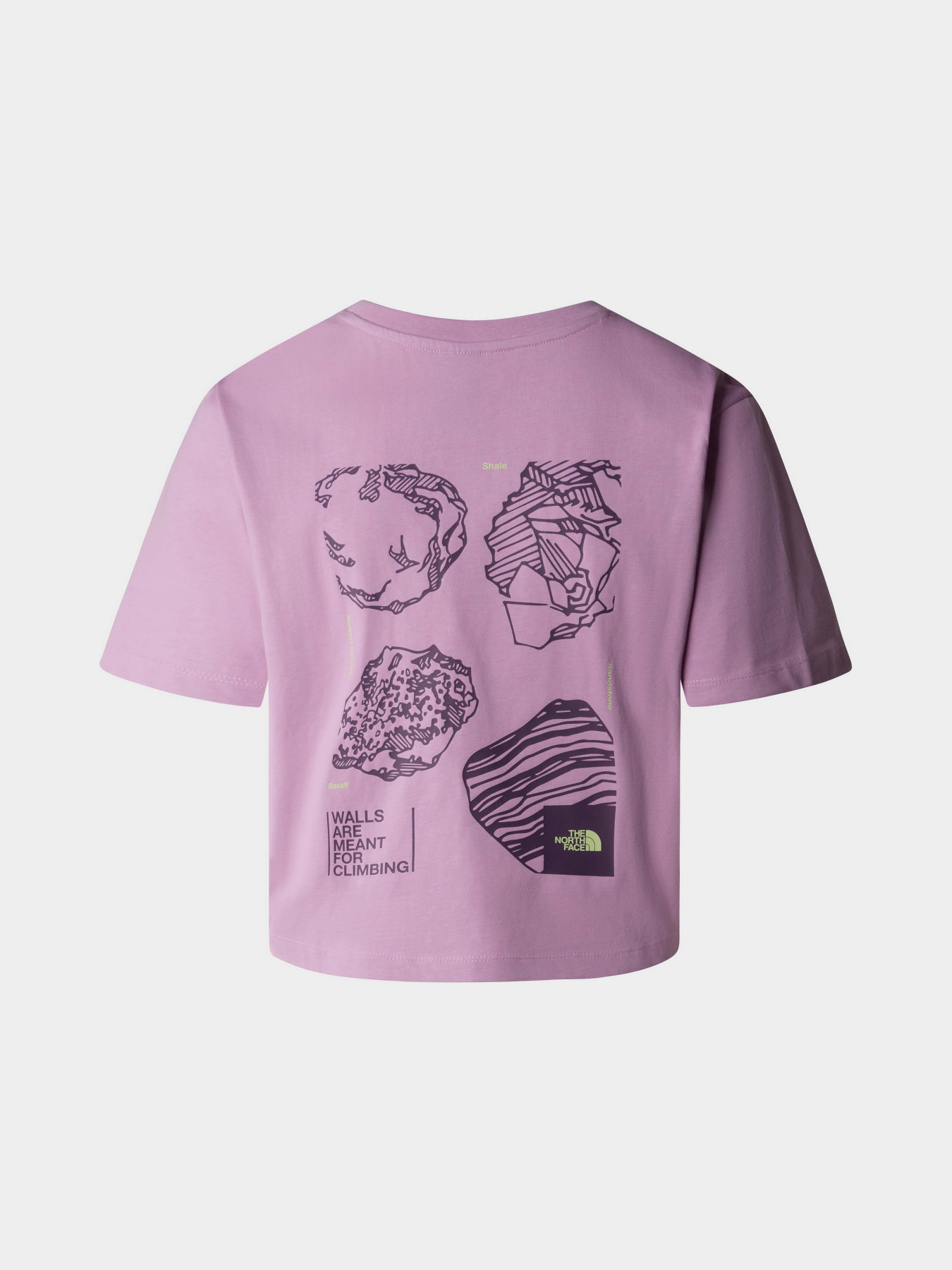 Футболка The North Face W Outdoor S/S Tee модель NF0A880NPO21 Футболка The North Face W Outdoor S/S Tee модель NF0A880NPO21 Фото